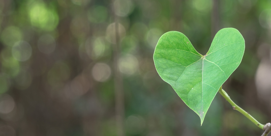Love Your Planet: Tips for a Green Valentine's Day
